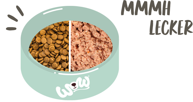 Food Bowl