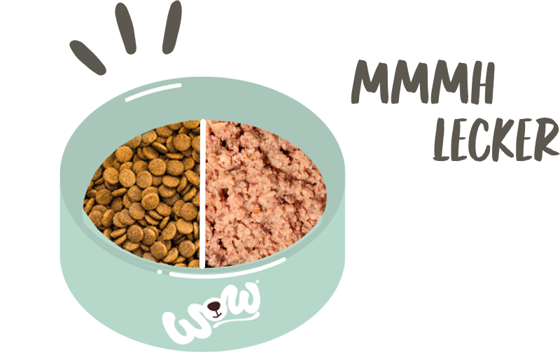Food Bowl