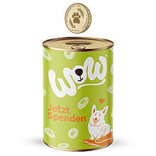 Food for the stray dog paradise