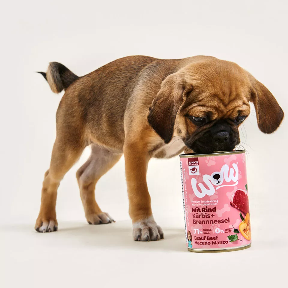 WOW Dog Food Junior Food with beef lower prices