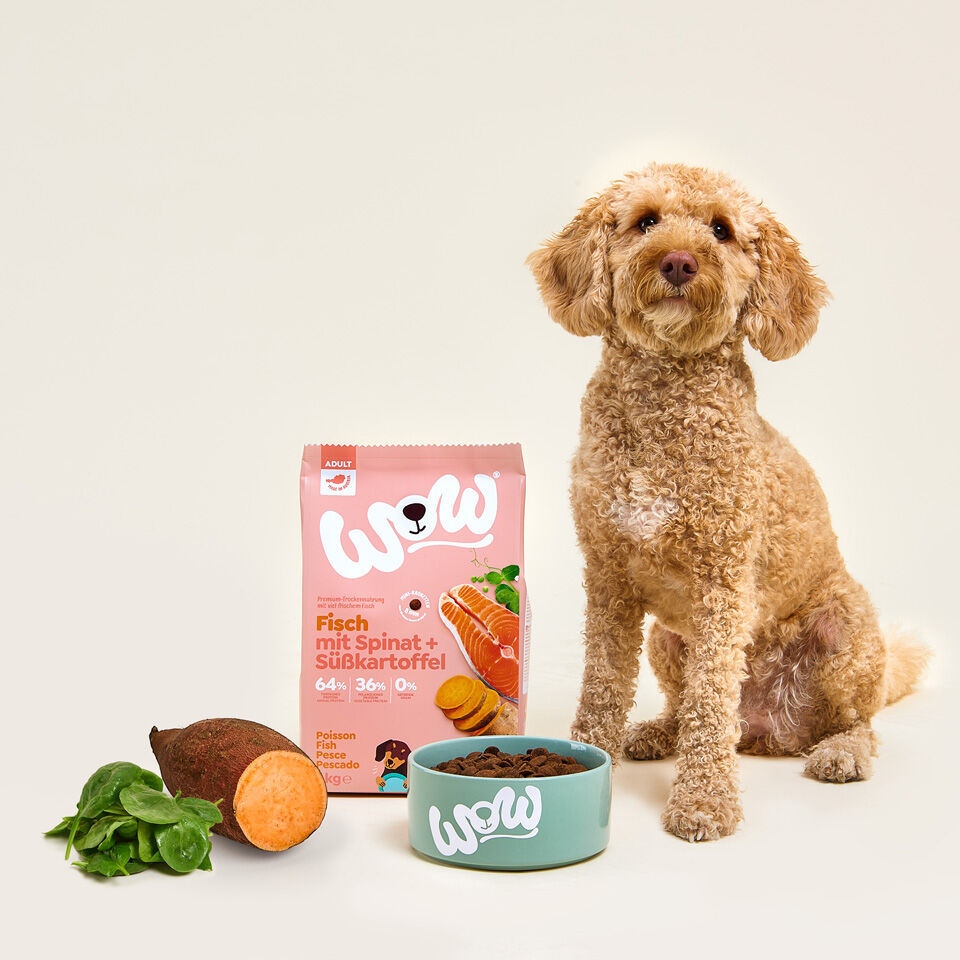 WOW Dog Food Adult Food with Fisch lower prices