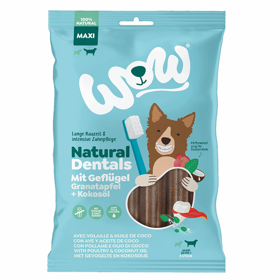 All natural tooth 2025 salts for dogs