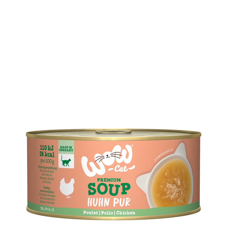 Chicken soup cat top
