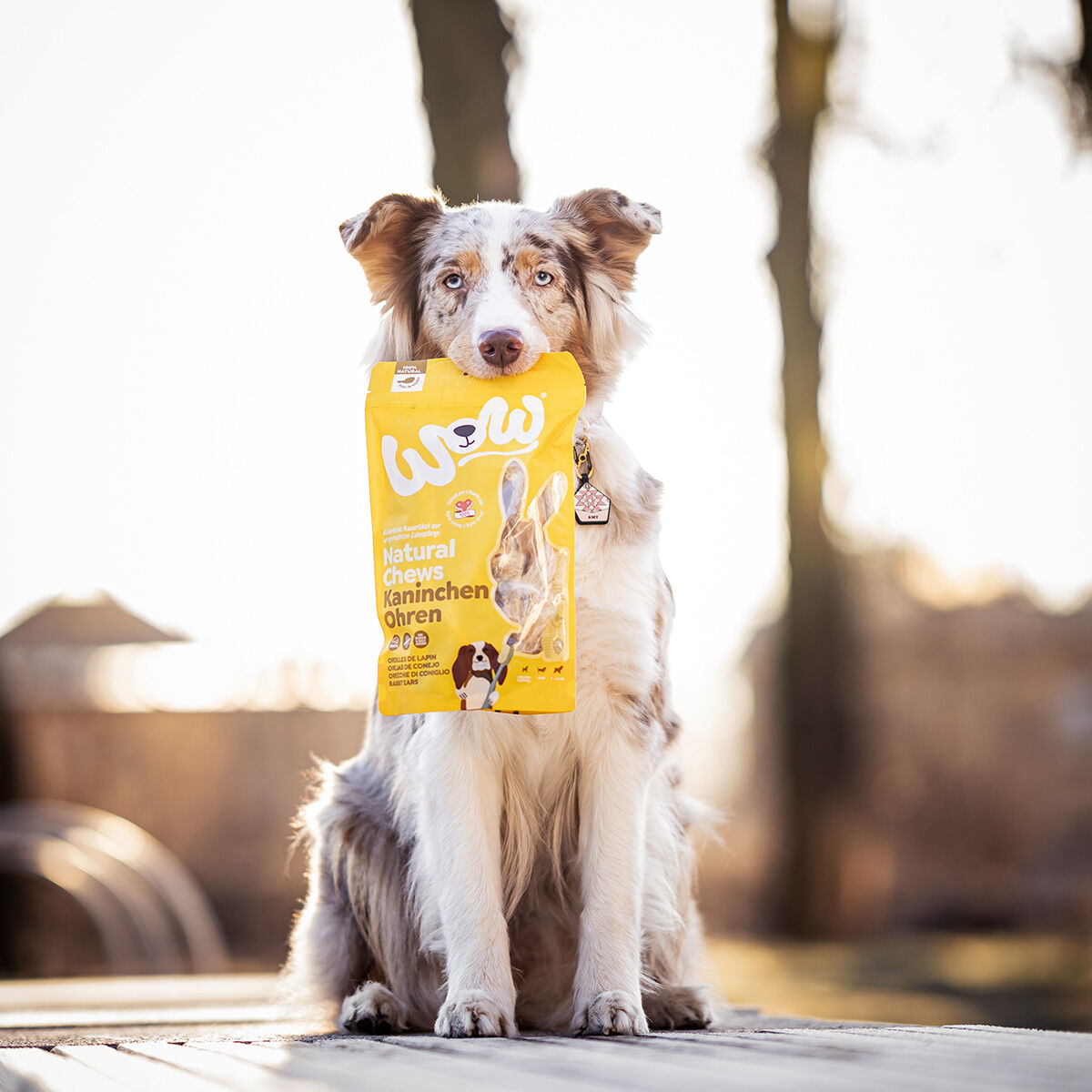 Are Rabbit Ears Good For Dogs