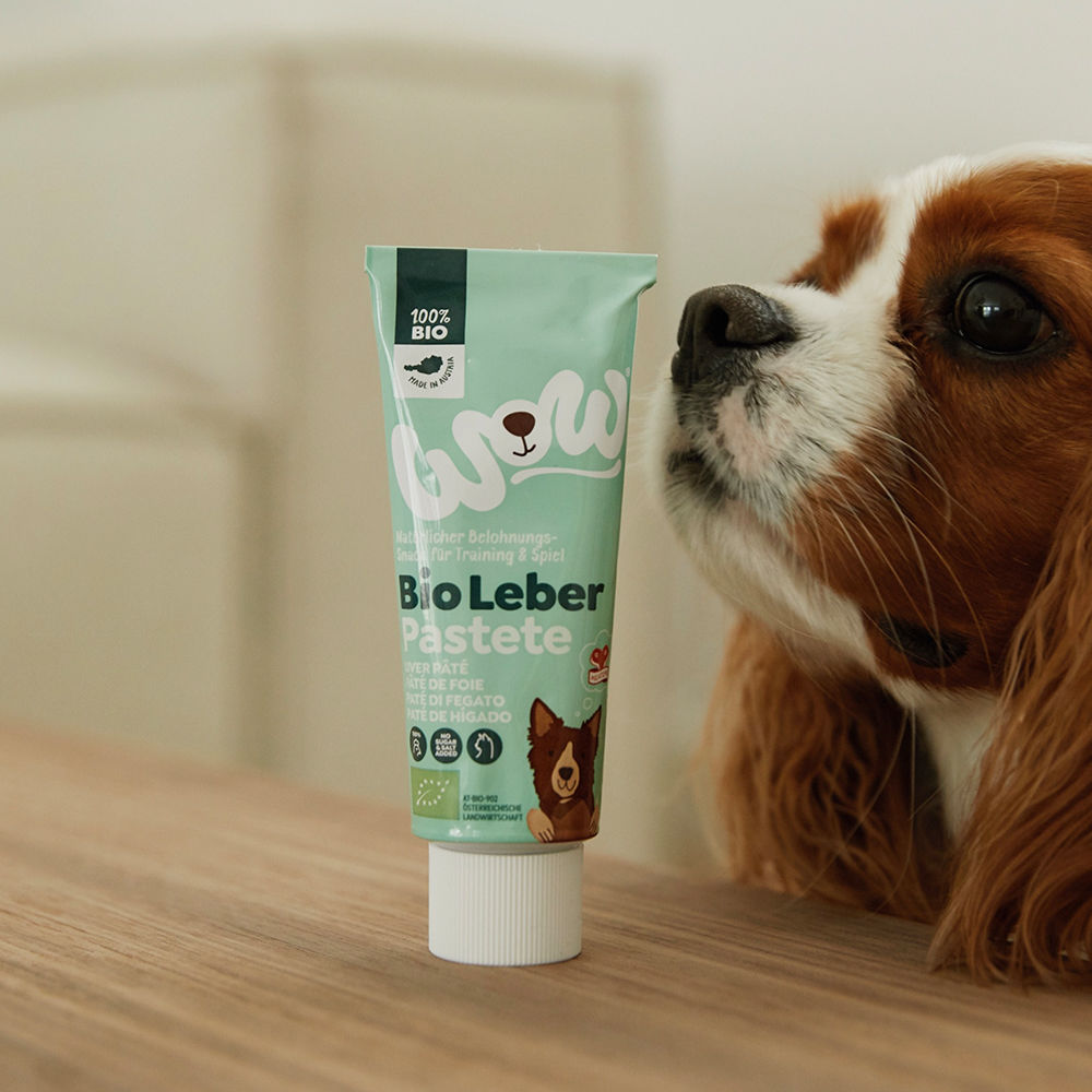 Dog Ate Whole Tube Of Dog Toothpaste Buy Codes clc.cet.edu