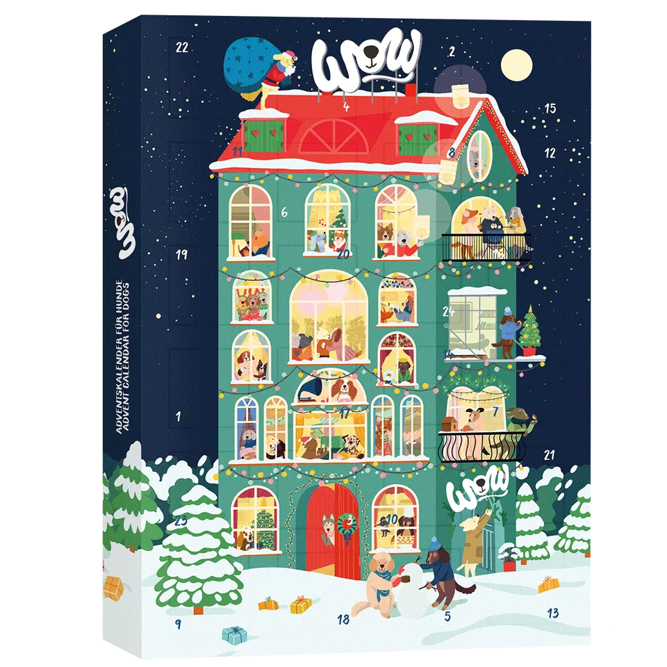 Advent calendar for dogs