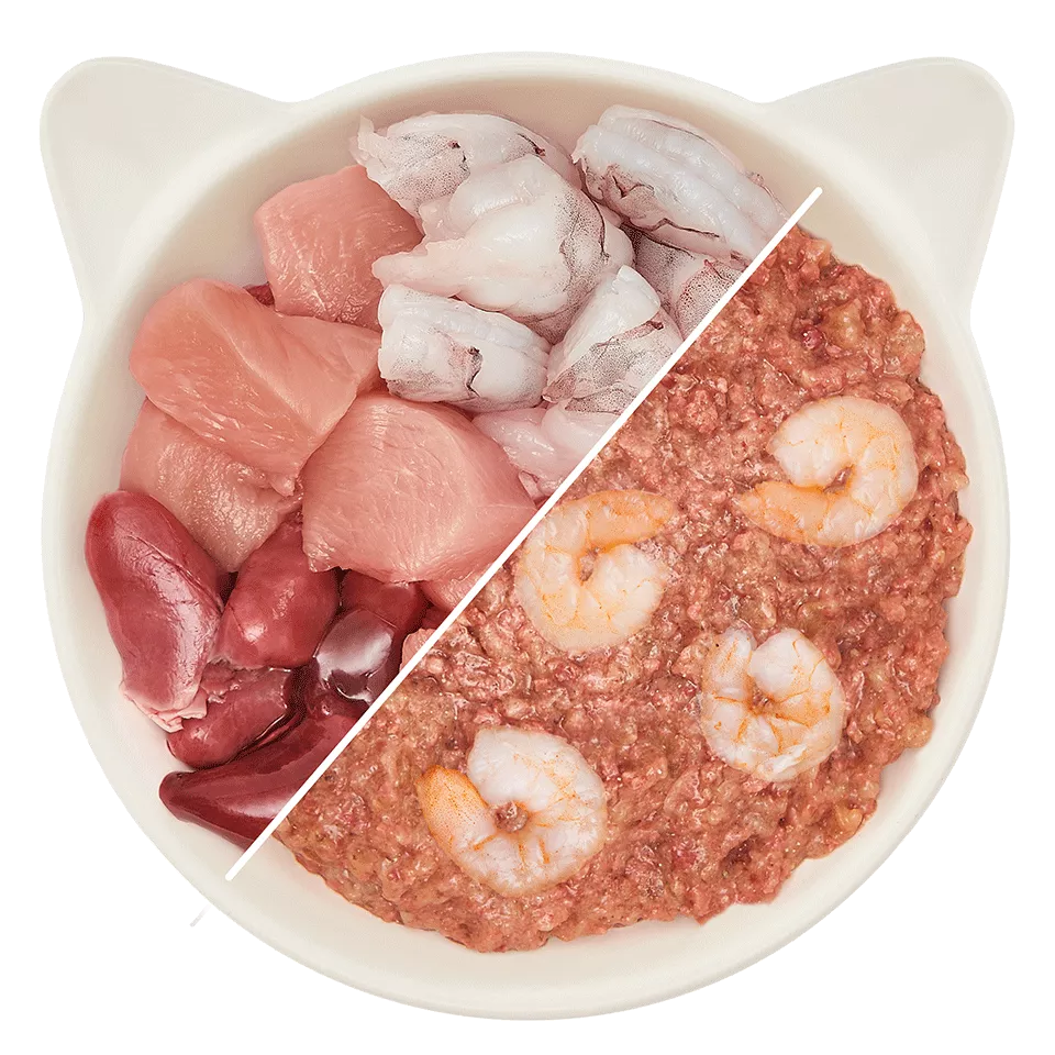 Adult Paté chicken & prawn