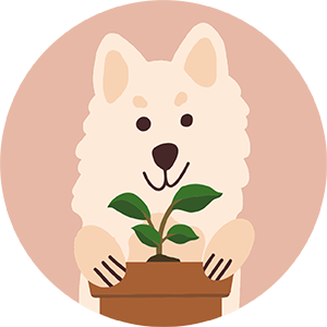 A dog with a plant in a pot