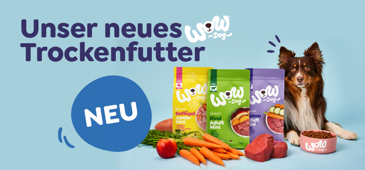 Hund liegt neben wow dog Trockenfutter