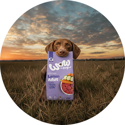 Ein WOW Papiersakerl in dem sich Gemüse und eine Dose Junior Huhn befindet