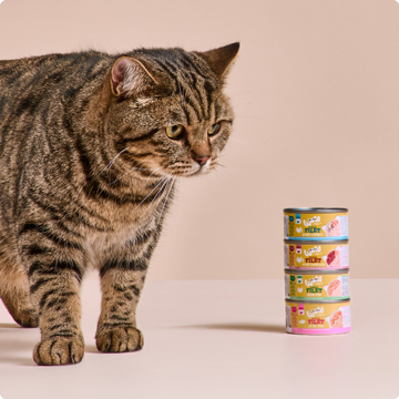 Deliciosos filetes para gatos