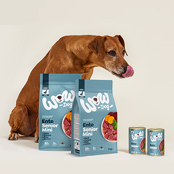 Comida para perros mayores