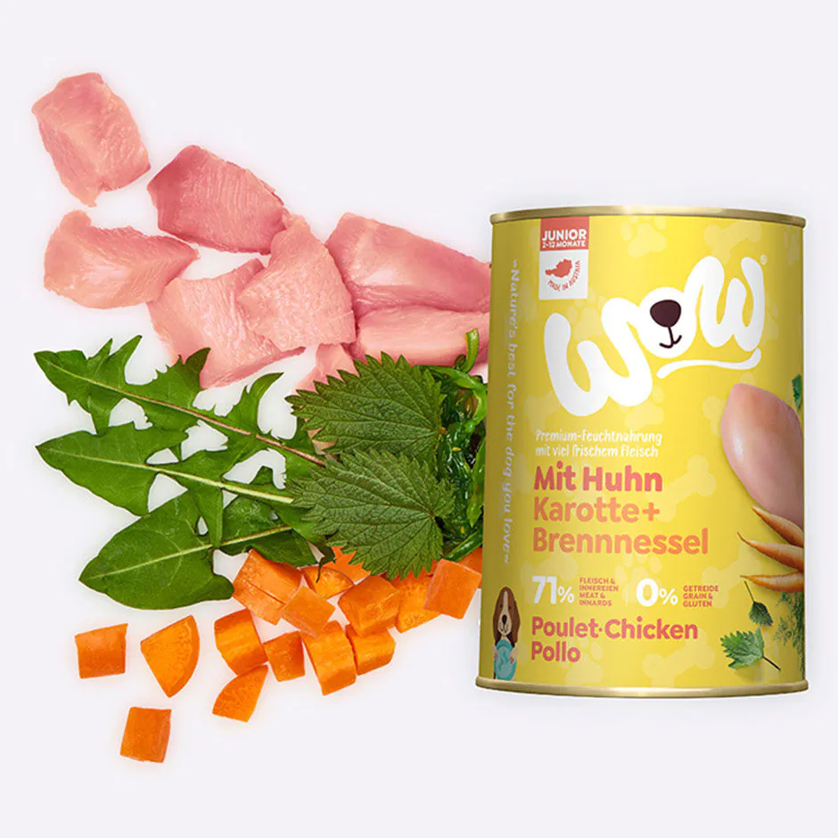Cachorros pollo 