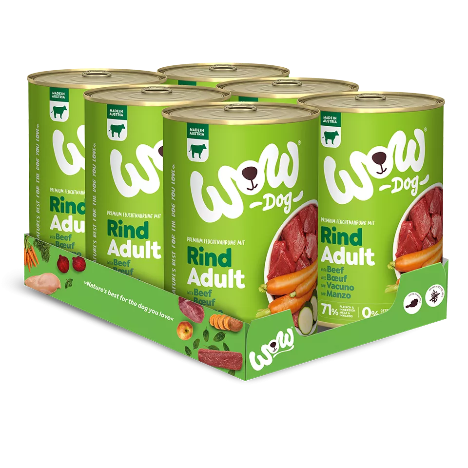 Adulto vacuno