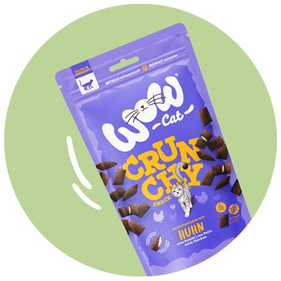 Envasado WOW Crunchy Snack