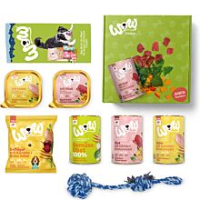 Chiots Testbox