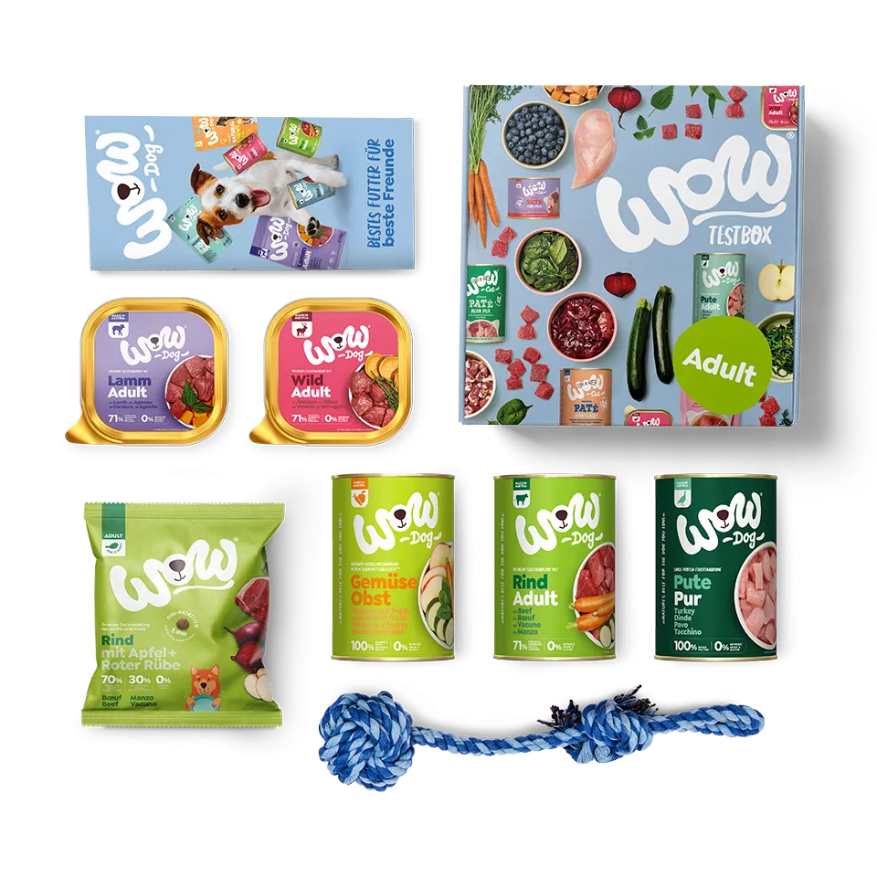 Adultes Testbox