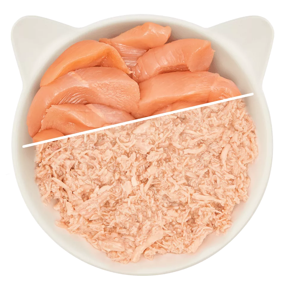 Filet poulet