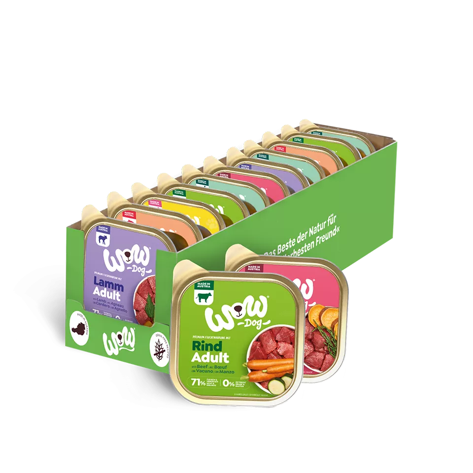 Adulto multipack 