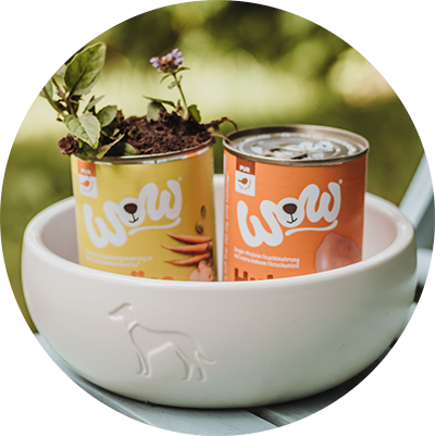 Due scatole di cibo umido di WOW in una ciotola con un fiore che spunta fuori.