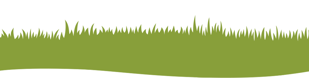 grass