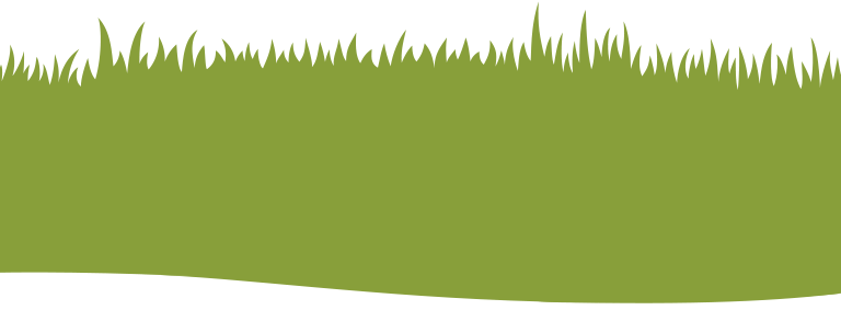 grass