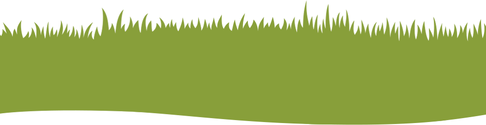 grass